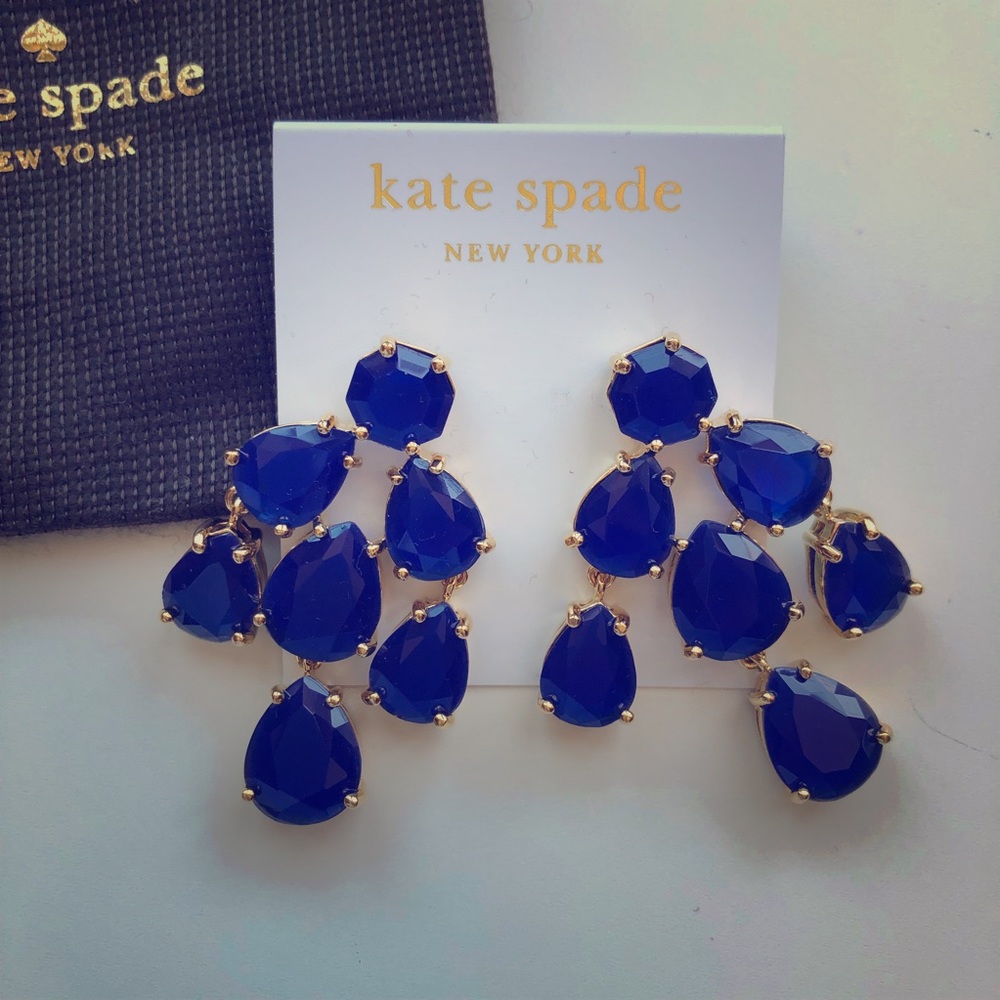 Blue Kate Spade statement earrings